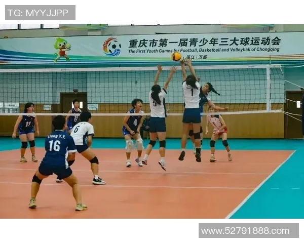 重庆排球队耐力革命引发热议展现新风貌与竞技精神